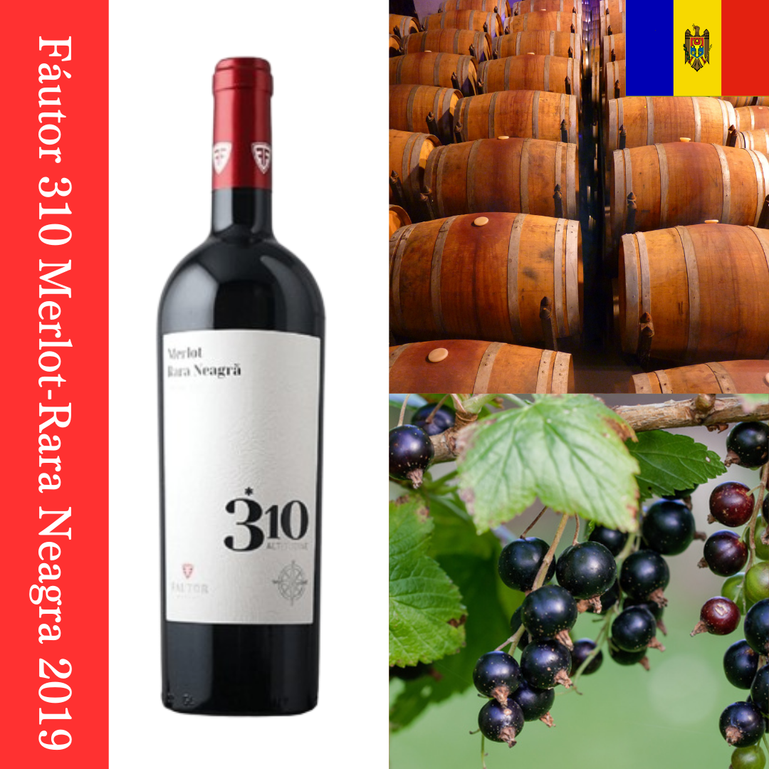Fáutor 310 Merlot-Rara Neagra 2019 ファウトル 310 メルロー-ララネアグラ 2019