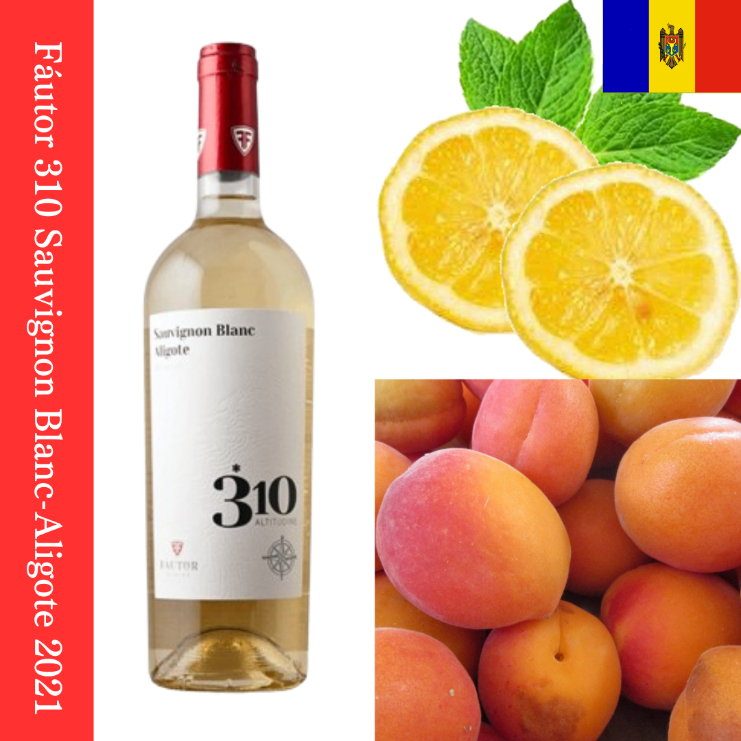 Fáutor 310 Sauvignon Blanc-Aligote 2021 ファウトル 310 ソーヴィニョン ブラン-アリゴテ 2021