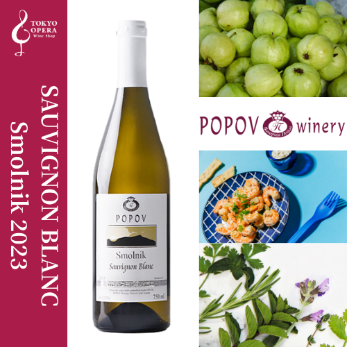 Popov SAUVIGNON BLANC Smolnik 2023 ポポフ ソーヴィニヨン  ブラン スモルニク 2023